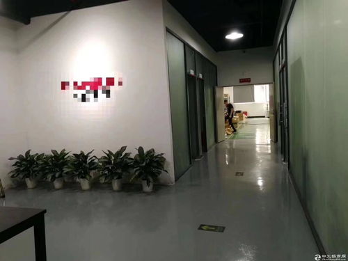 小面积福音 坑梓新出4楼500平厂房，带消防喷淋与消声室，现成办公室即刻入驻